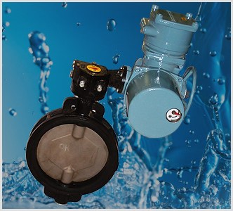 Motorized Butterfly Valves