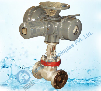 Motorized Gate & Globe Valves