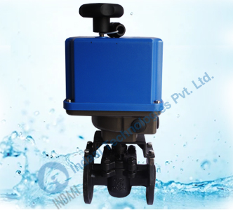 Motorized Plug Valves