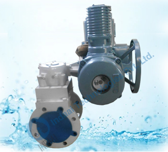 Motorized Plug Valves